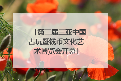 第二届三亚中国古玩暨钱币文化艺术博览会开幕