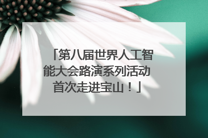 第八届世界人工智能大会路演系列活动首次走进宝山！