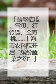 翡翠桔瓜、雪贝、红铃铛、金寿桃……上海市农科院开启“缤纷蔬菜之约”