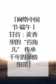 网络中国节·端午丨甘谷：麦香里的“谷角儿” 传承千年的亲情纽带