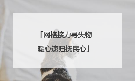 网格接力寻失物 暖心速归抚民心