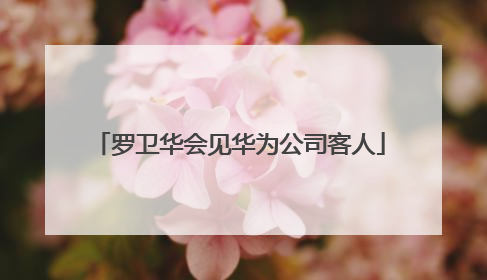 罗卫华会见华为公司客人