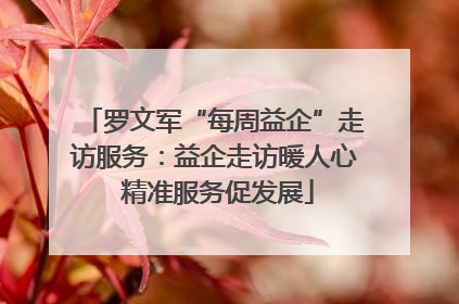罗文军“每周益企”走访服务：益企走访暖人心 精准服务促发展