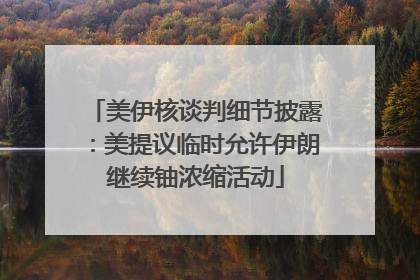 美伊核谈判细节披露：美提议临时允许伊朗继续铀浓缩活动