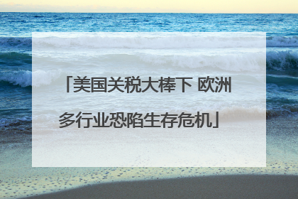 美国关税大棒下 欧洲多行业恐陷生存危机