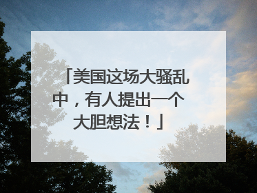 美国这场大骚乱中，有人提出一个大胆想法！