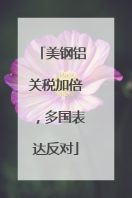 美钢铝关税加倍，多国表达反对