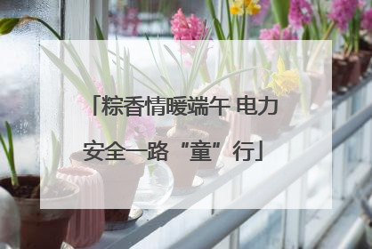 粽香情暖端午 电力安全一路“童”行