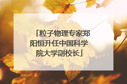 粒子物理专家郑阳恒升任中国科学院大学副校长