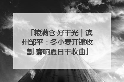粮满仓·好丰光｜滨州邹平：冬小麦开镰收割 奏响夏日丰收曲