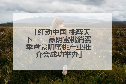 红动中国 桃醉天下——蒙阴蜜桃消费季暨蒙阴蜜桃产业推介会成功举办