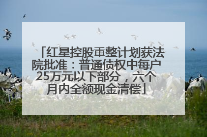 红星控股重整计划获法院批准：普通债权中每户25万元以下部分，六个月内全额现金清偿