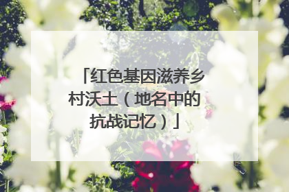 红色基因滋养乡村沃土（地名中的抗战记忆）