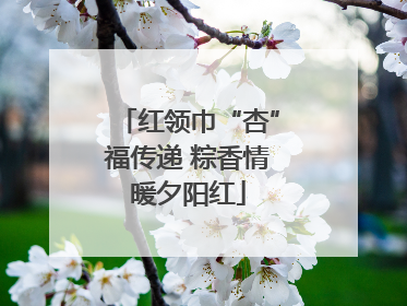 红领巾“杏”福传递 粽香情暖夕阳红