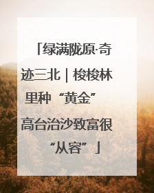 绿满陇原·奇迹三北｜梭梭林里种“黄金” 高台治沙致富很“从容”