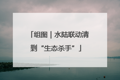 组图｜水陆联动清剿“生态杀手”