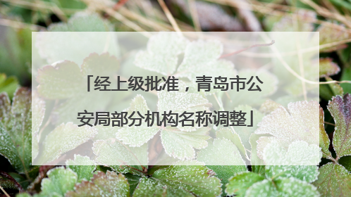 经上级批准，青岛市公安局部分机构名称调整