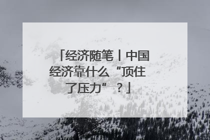 经济随笔丨中国经济靠什么“顶住了压力”？