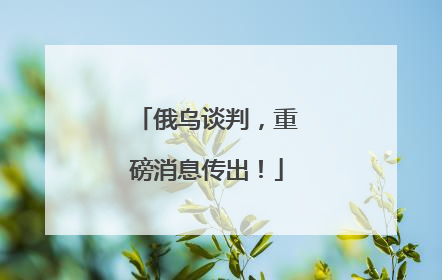 俄乌谈判，重磅消息传出！