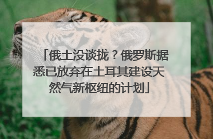 俄土没谈拢？俄罗斯据悉已放弃在土耳其建设天然气新枢纽的计划