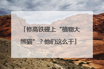 修高铁碰上“植物大熊猫”？他们这么干