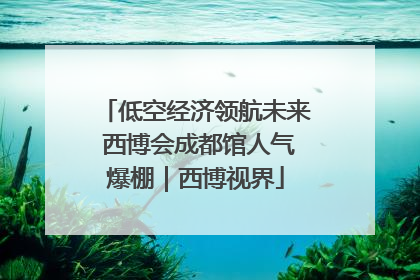 低空经济领航未来 西博会成都馆人气爆棚｜西博视界