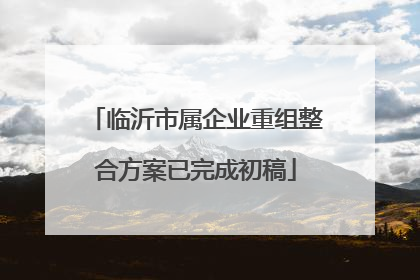 临沂市属企业重组整合方案已完成初稿