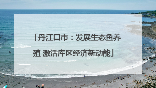 丹江口市：发展生态鱼养殖 激活库区经济新动能