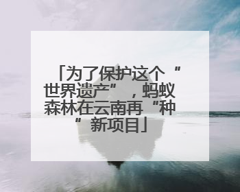 为了保护这个“世界遗产”，蚂蚁森林在云南再“种”新项目