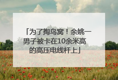 为了掏鸟窝！余姚一男子被卡在10余米高的高压电线杆上