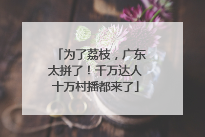 为了荔枝，广东太拼了！千万达人十万村播都来了