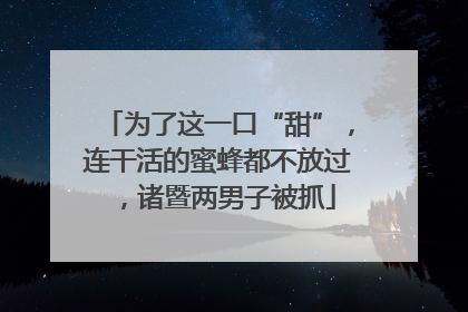 为了这一口“甜”，连干活的蜜蜂都不放过，诸暨两男子被抓