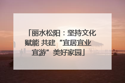 丽水松阳：坚持文化赋能 共建“宜居宜业宜游”美好家园