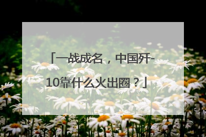 一战成名，中国歼-10靠什么火出圈？