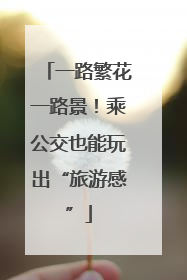 一路繁花一路景！乘公交也能玩出“旅游感”