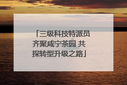 三级科技特派员齐聚咸宁茶园 共探转型升级之路