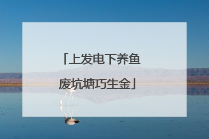 上发电下养鱼 废坑塘巧生金