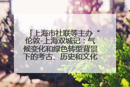 上海市社联等主办“伦敦-上海双城记：气候变化和绿色转型背景下的考古、历史和文化遗产”学术对话