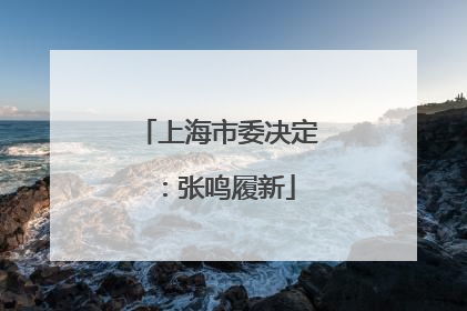 上海市委决定：张鸣履新