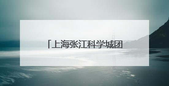 上海张江科学城团工委成立，将服务40余万名青年人