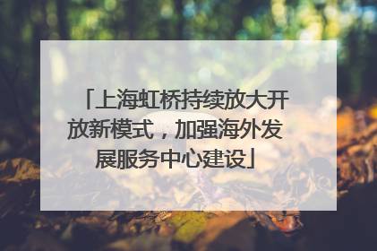 上海虹桥持续放大开放新模式，加强海外发展服务中心建设