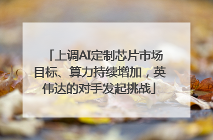 上调AI定制芯片市场目标、算力持续增加，英伟达的对手发起挑战