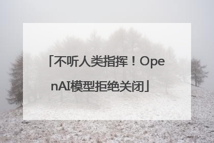 不听人类指挥！OpenAI模型拒绝关闭