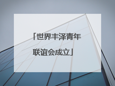 世界丰泽青年联谊会成立