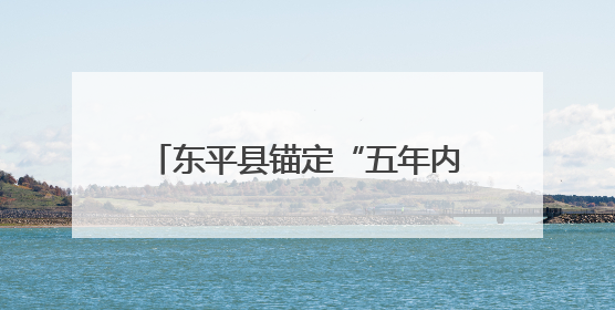 东平县锚定“五年内GDP和税收收入翻番”目标，2024年同比增长5.8%