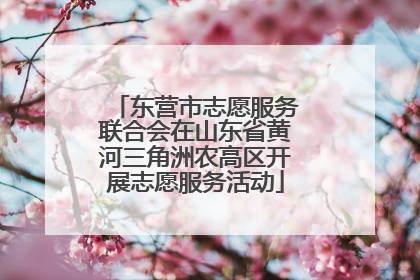 东营市志愿服务联合会在山东省黄河三角洲农高区开展志愿服务活动