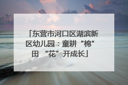 东营市河口区湖滨新区幼儿园：童耕“棉”田 “花”开成长