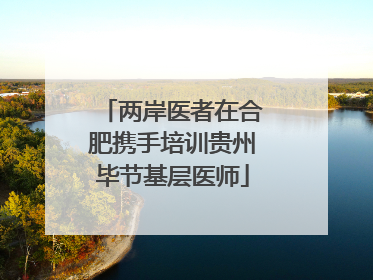 两岸医者在合肥携手培训贵州毕节基层医师