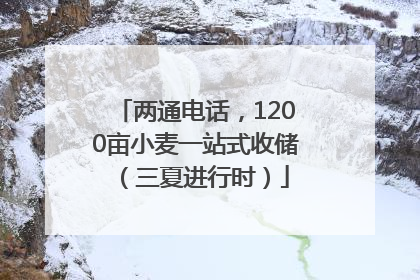 两通电话，1200亩小麦一站式收储（三夏进行时）