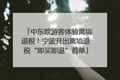 中东欧游客体验离境退税！宁波开出离境退税“即买即退”首单